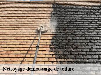 Nettoyage demoussage de toiture