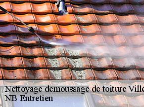 Nettoyage demoussage de toiture villemade-82130 NB Entretien