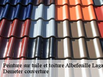 Peinture sur tuile et toiture  albefeuille-lagarde-82290 Demeter couverture