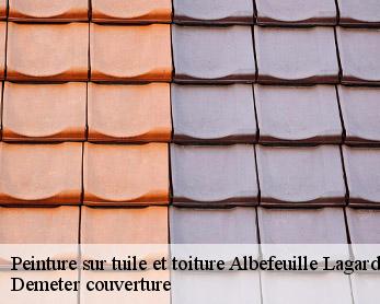 Peinture sur tuile et toiture  82290