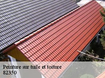 Peinture sur tuile et toiture  82350