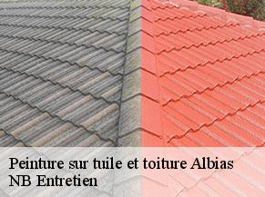 Peinture sur tuile et toiture albias-82350 NB Entretien