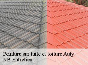Peinture sur tuile et toiture auty-82220 NB Entretien