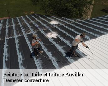 Peinture sur tuile et toiture 82340