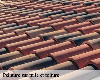 Peinture sur tuile et toiture 82340
