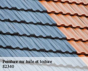 Peinture sur tuile et toiture 82340