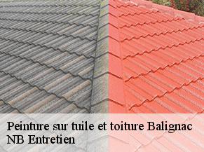 Peinture sur tuile et toiture balignac-82120 Concept Toiture 82
