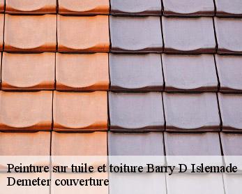 Peinture sur tuile et toiture  82290
