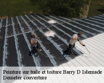 Peinture sur tuile et toiture  82290