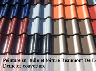 Peinture sur tuile et toiture beaumont-de-lomagne-82500 Demeter couverture