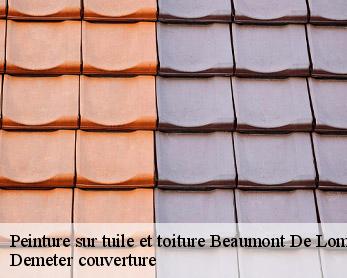 Peinture sur tuile et toiture 82500