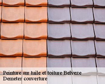 Peinture sur tuile et toiture  82150
