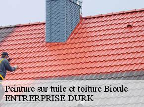 Peinture sur tuile et toiture  bioule-82800 ENTRERPRISE DURK