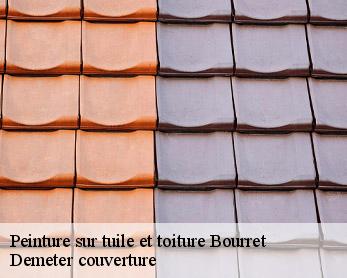Peinture sur tuile et toiture  82700