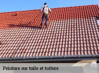 Peinture sur tuile et toiture