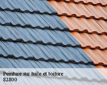 Peinture sur tuile et toiture 82800