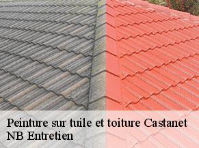 Peinture sur tuile et toiture castanet-82160 NB Entretien