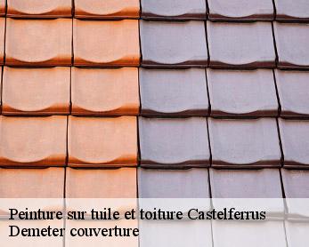 Peinture sur tuile et toiture 82100