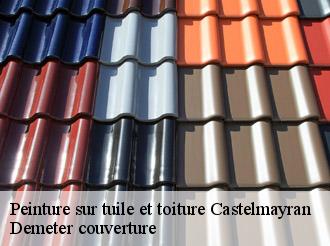 Peinture sur tuile et toiture  castelmayran-82210 Demeter couverture
