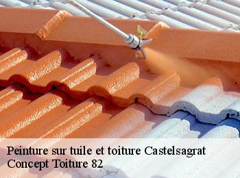 Peinture sur tuile et toiture castelsagrat-82400 CALVET OCCITANIE 82