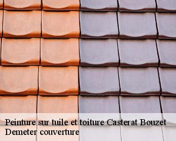 Peinture sur tuile et toiture  82120