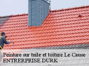 Peinture sur tuile et toiture  le-cause-82500 ENTRERPRISE DURK