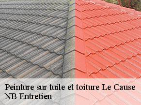 Peinture sur tuile et toiture le-cause-82500 NB Entretien