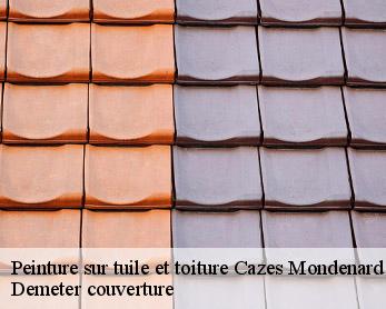 Peinture sur tuile et toiture 82110