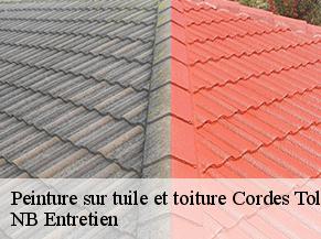 Peinture sur tuile et toiture cordes-tolosannes-82700 NB Entretien