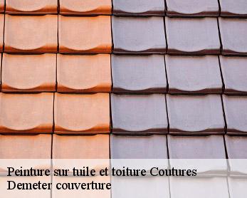 Peinture sur tuile et toiture  82210