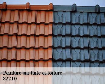 Peinture sur tuile et toiture