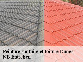 Peinture sur tuile et toiture dunes-82340 Concept Toiture 82