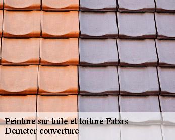 Peinture sur tuile et toiture  82170