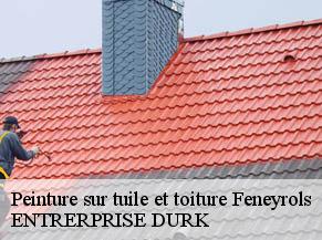 Peinture sur tuile et toiture  feneyrols-82140 ENTRERPRISE DURK