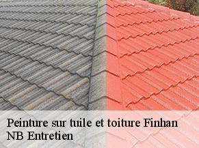 Peinture sur tuile et toiture finhan-82700 NB Entretien