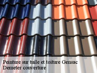 Peinture sur tuile et toiture  gensac-82120 Demeter couverture