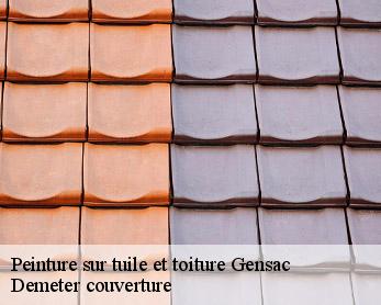 Peinture sur tuile et toiture  82120