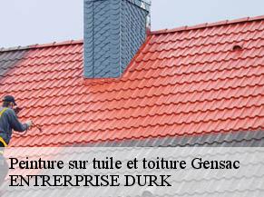 Peinture sur tuile et toiture  gensac-82120 ENTRERPRISE DURK