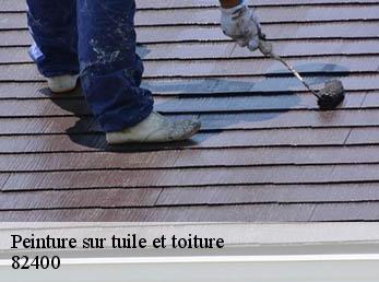 Peinture sur tuile et toiture  82400