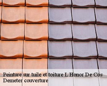 Peinture sur tuile et toiture 82130