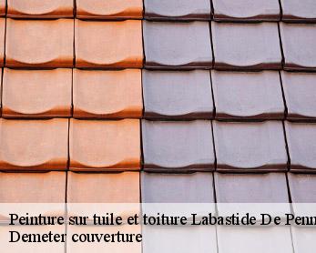 Peinture sur tuile et toiture 82240