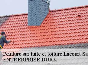 Peinture sur tuile et toiture  lacourt-saint-pierre-82290 ENTRERPRISE DURK