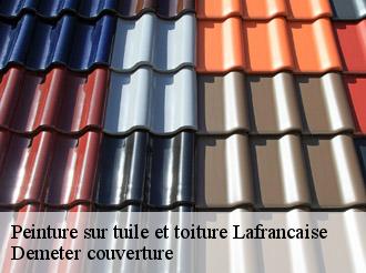 Peinture sur tuile et toiture  lafrancaise-82130 Demeter couverture