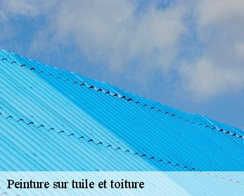 Peinture sur tuile et toiture  82130