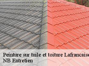 Peinture sur tuile et toiture lafrancaise-82130 NB Entretien