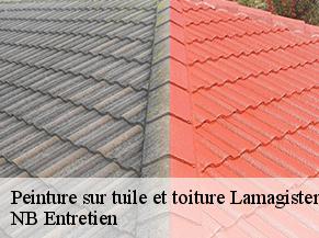 Peinture sur tuile et toiture lamagistere-82360 Concept Toiture 82