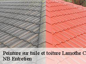 Peinture sur tuile et toiture lamothe-cumont-82500 NB Entretien