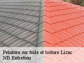 Peinture sur tuile et toiture lizac-82200 NB Entretien
