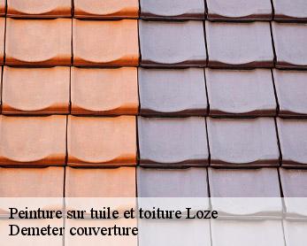 Peinture sur tuile et toiture  82160