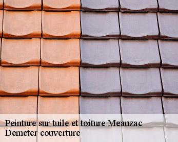 Peinture sur tuile et toiture 82290